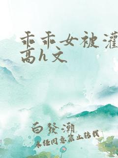 乖乖女被灌满精高h文