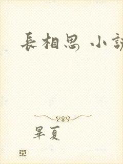 长相思 小说