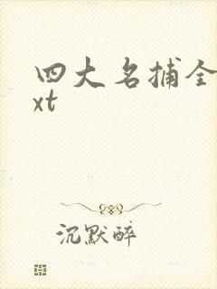 四大名捕全集txt