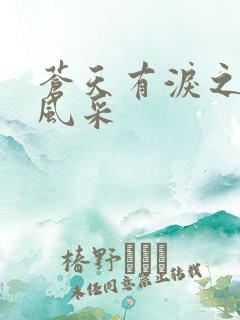 苍天有泪之军人风采