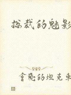 总裁的魅影情人