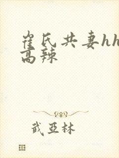 崔氏共妻hhh高辣