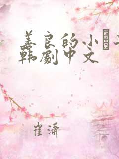 善良的小峓子2韩剧中文