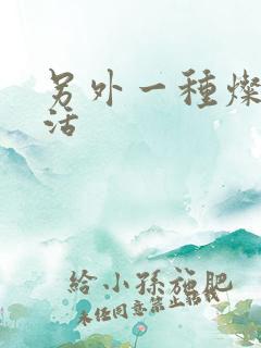 另外一种灿烂生活