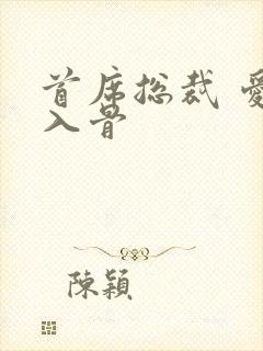 首席总裁 爱你入骨