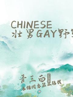 CHINESE壮男GAY野战强迫TUBE