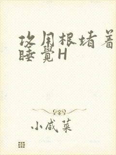 攻用根堵着小受睡觉H