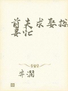 前夫求娶总裁追妻忙