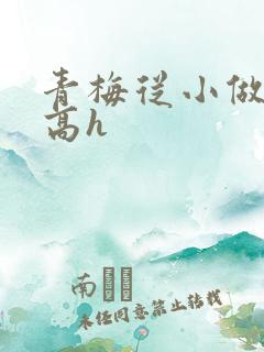 青梅从小做到大高h