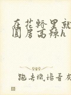 在花轿里就开始圆房高辣h