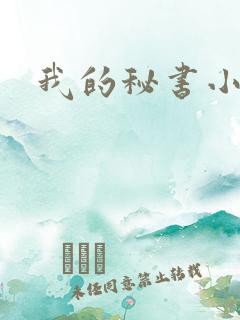 我的秘书小姐