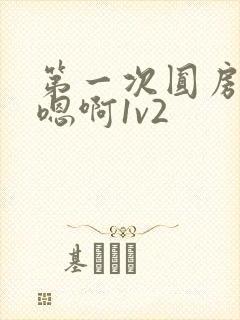 第一次圆房～h嗯啊1v2