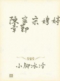 陈宁宋娉婷最新章节