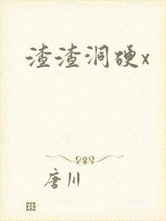 渣渣洞硬x