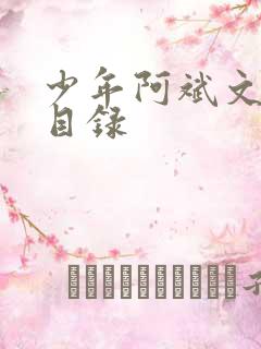 少年阿斌文说读目录