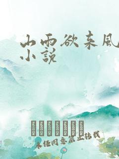 山雨欲来风满楼小说