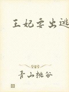 王妃要出逃