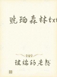 琥珀森林txt