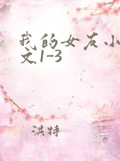 我的女友小洁全文1-3