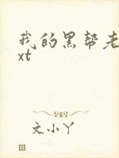 我的黑帮老公txt