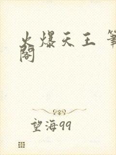 火爆天王 笔趣阁