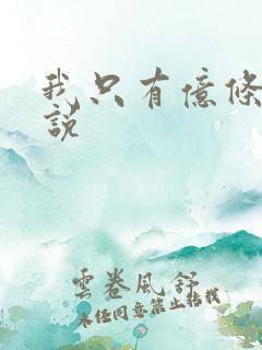 我只有亿条命小说