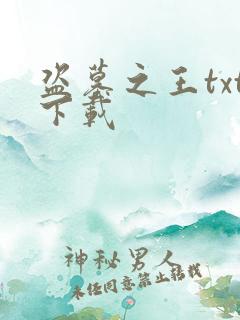 盗墓之王txt下载