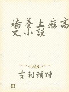 娇养上瘾高H爽文小说