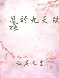凤于九天破茧成蝶