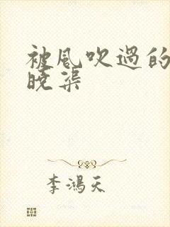 被风吹过的夏天晓渠