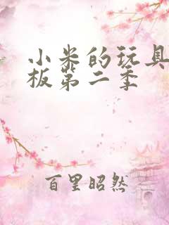 小米的玩具店老板第二季