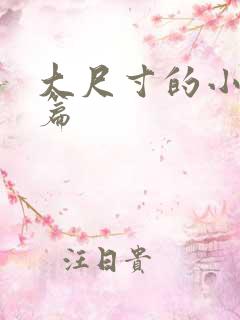 大尺寸的小说短篇