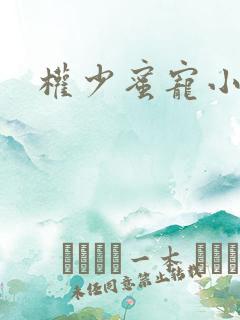 权少蜜宠小娇妻