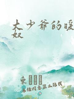 大少爷的暖床小奴