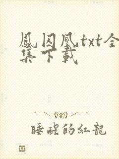 凤囚凰txt全集下载