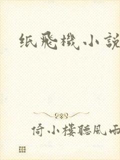 纸飞机小说