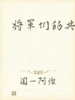 将军们的共妻H