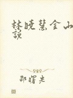 林晓慧金山的小说