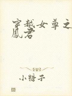 穿越女尊之吾为凤君