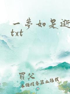 一梦如是逝水长txt