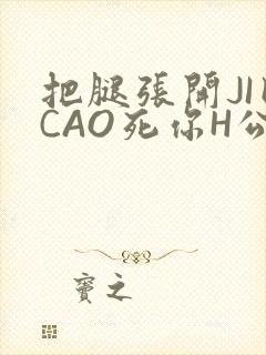 把腿张开JI巴CAO死你H公园