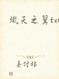 炽天之翼txt