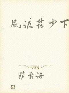 风流花少下载