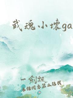 武魂小坏ga