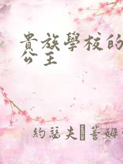 贵族学校的双面公主