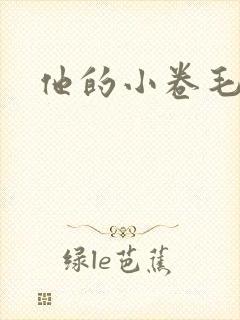 他的小卷毛
