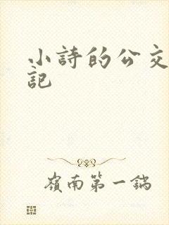 小诗的公交车日记