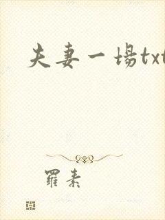 夫妻一场txt