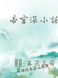 帝宫深小说
