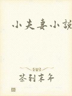 小夫妻小说